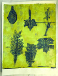 Floating Leaves